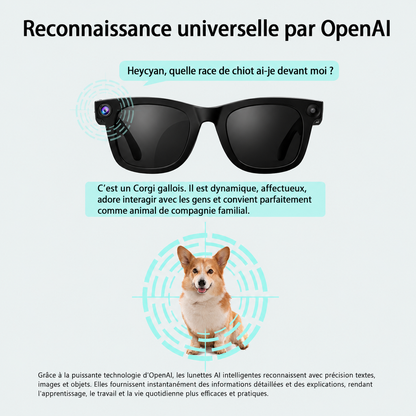 Meta One — Lunettes Intelligentes Connectées